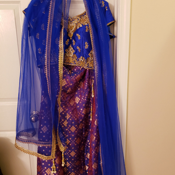 Gorgeous Lehenga - Picture 3 of 8